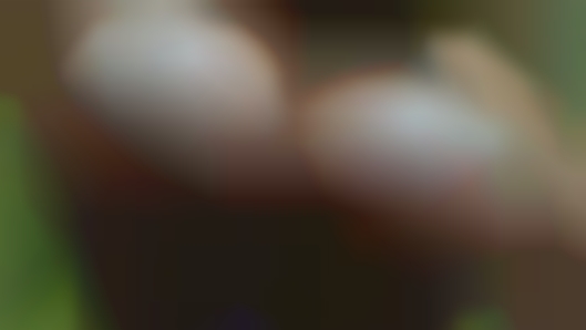 Spycam showers sports wanted swingers free!!!